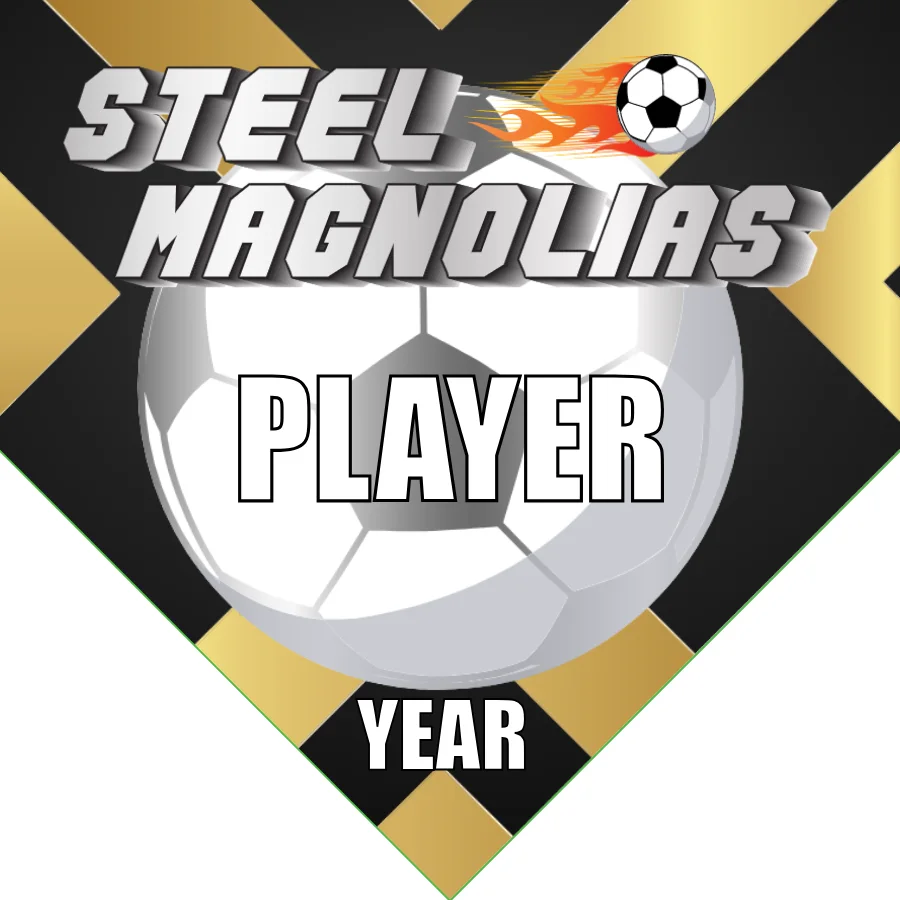 Steel Magnolias 2 Soccer Banner-soccer-banner-picture