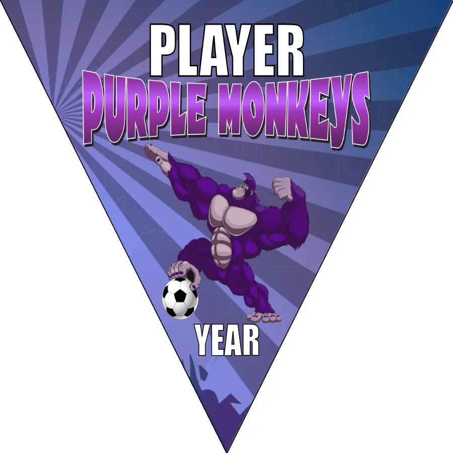 Purple monkeys Soccer Banner-soccer-team-banners-picture