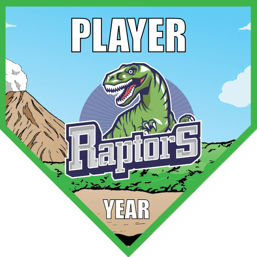 Raptors Soccer Banner-soccer-banners-picture