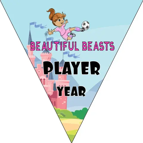 Beautiful Beasts 2 Soccer Banner-making-a-felt-soccer-banner-picture