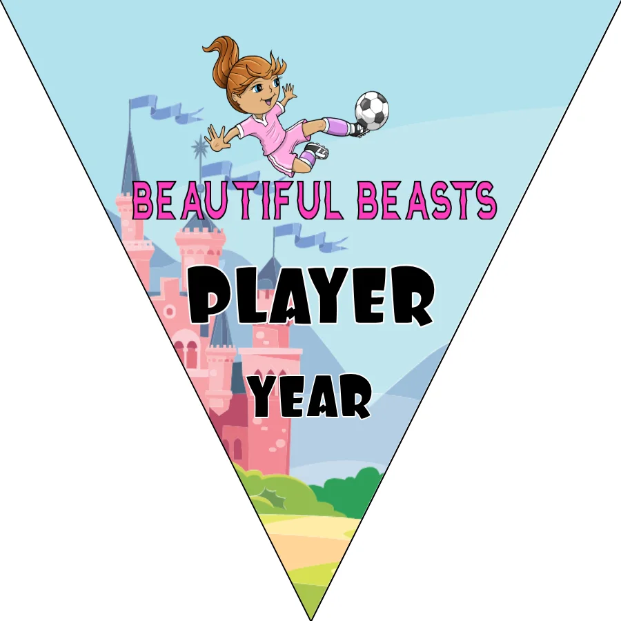 Beautiful Beasts 2 Soccer Banner-making-a-felt-soccer-banner-picture