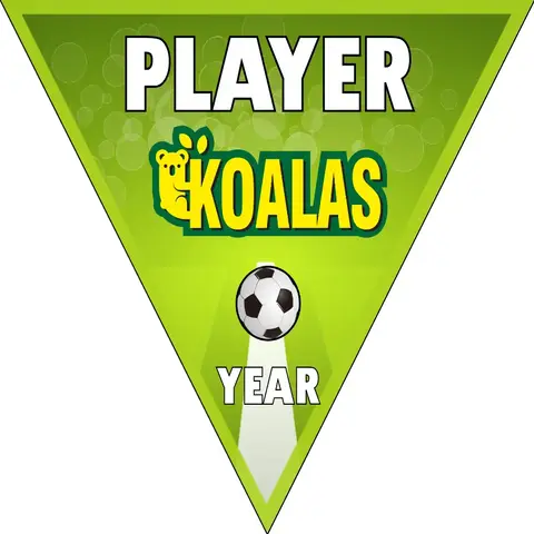 Koalas Soccer Banner-soccer-team-banner-homemade-picture