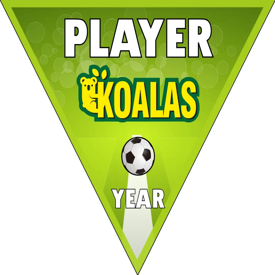 Koalas Soccer Banner-soccer-team-banner-homemade-picture