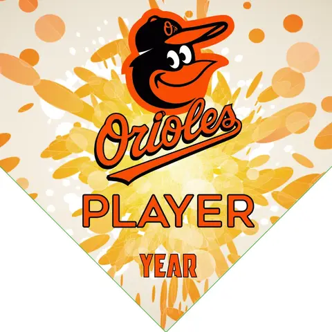 Baltimore Orioles 2 Baseball Banner-baseball-team-banner-pictures-images