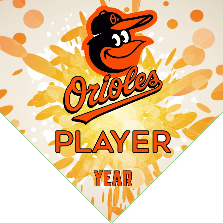 Baltimore Orioles 2 Baseball Banner-baseball-team-banner-pictures-images
