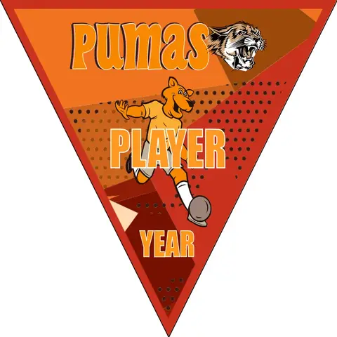 Pumas 2 Soccer Banner-soccer-team-banner-picture