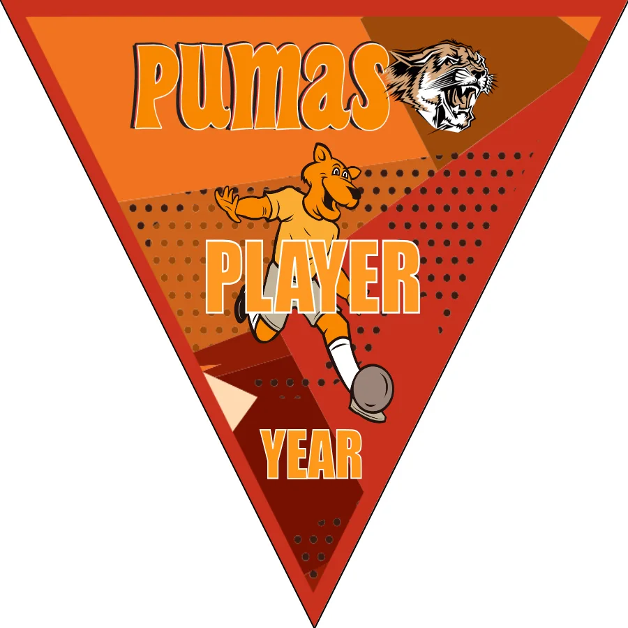 Pumas 2 Soccer Banner-soccer-team-banner-picture