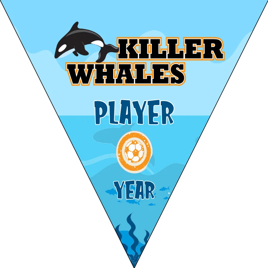Whales Killer Soccer Banner,-soccer-party-banner-picture
