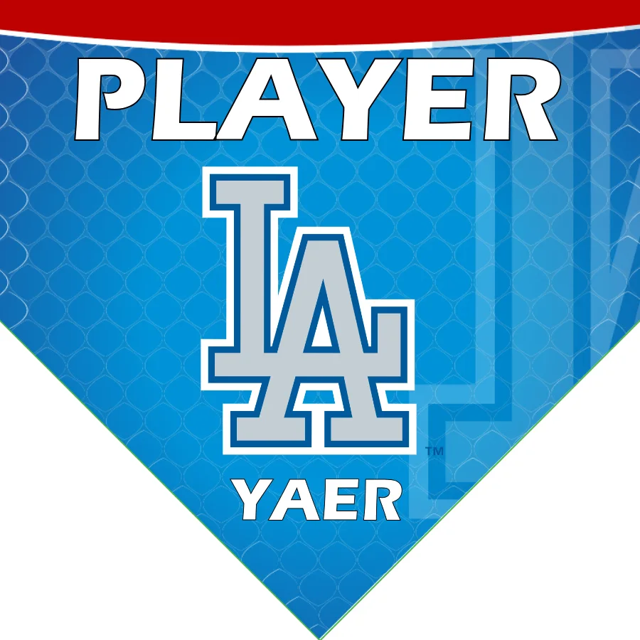 Dodgers 2 Baseball Banner-baseball-banner-quotes-images