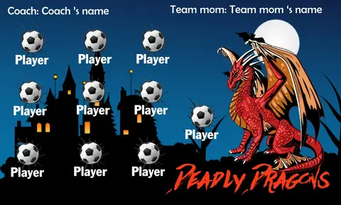 Deadly dragons Soccer Bannercheetah-soccer-banner