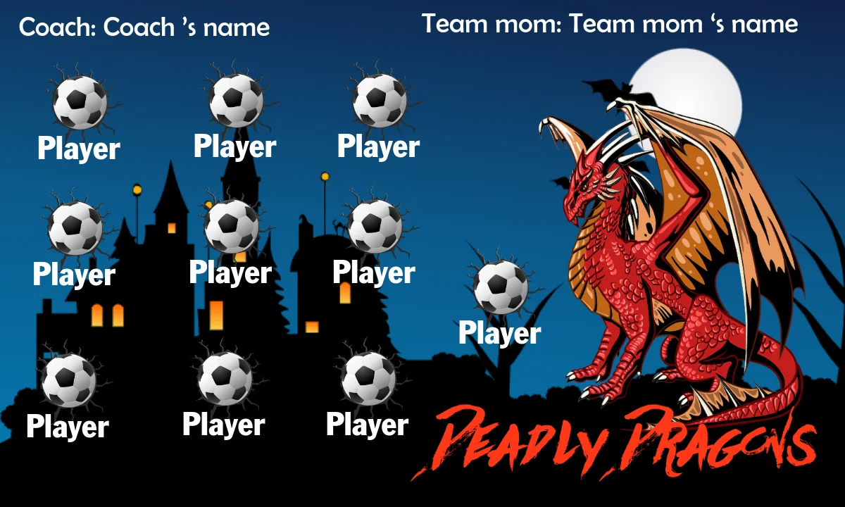 Deadly dragons Soccer Bannercheetah-soccer-banner