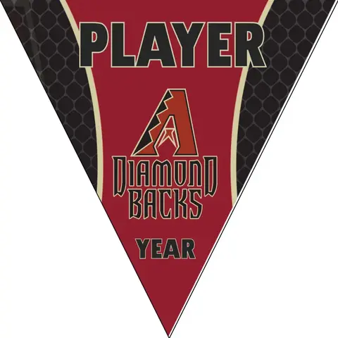 Diamond Black Baseball Banner-how-big-is-a-baseball-banner-images