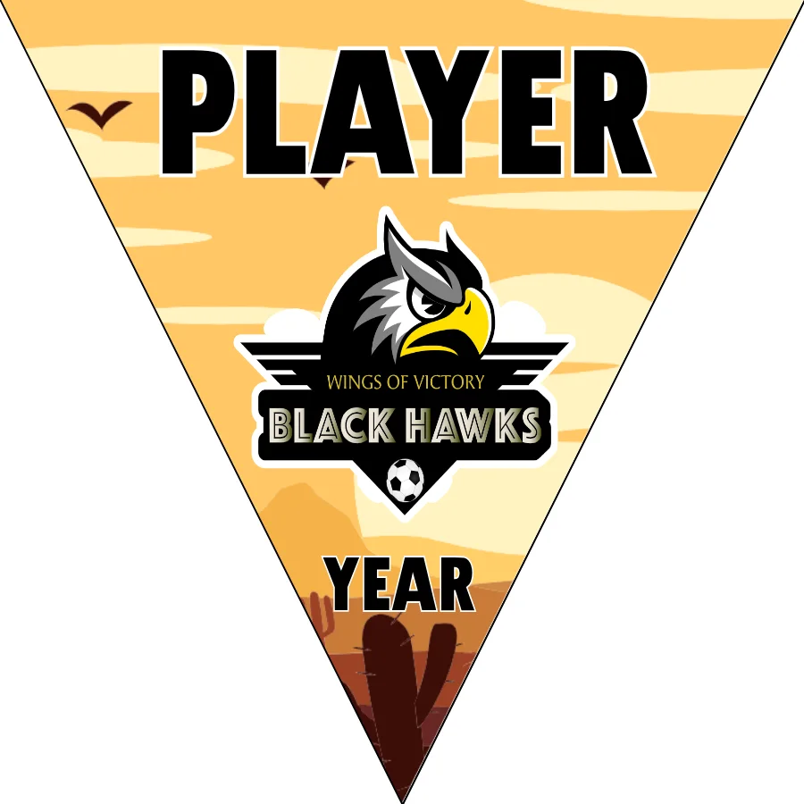 Black hawks Soccer Banner-star-spangled-banner-soccer-game-picture