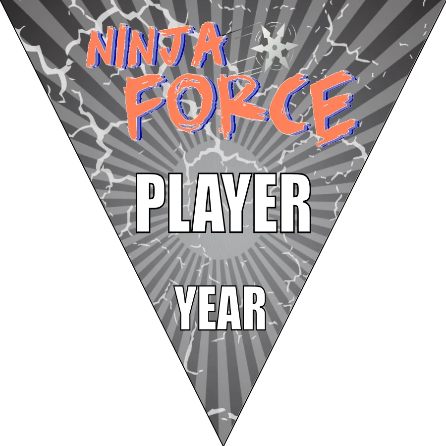 Ninja Force Soccer Banner-homemade-soccer-banner-ideas-picture