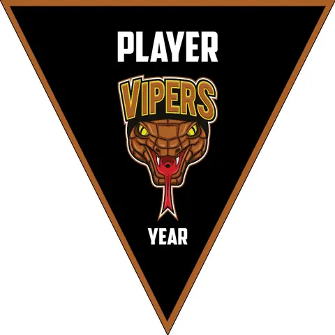 Vipers Soccer Banner, -soccer-banner-picture