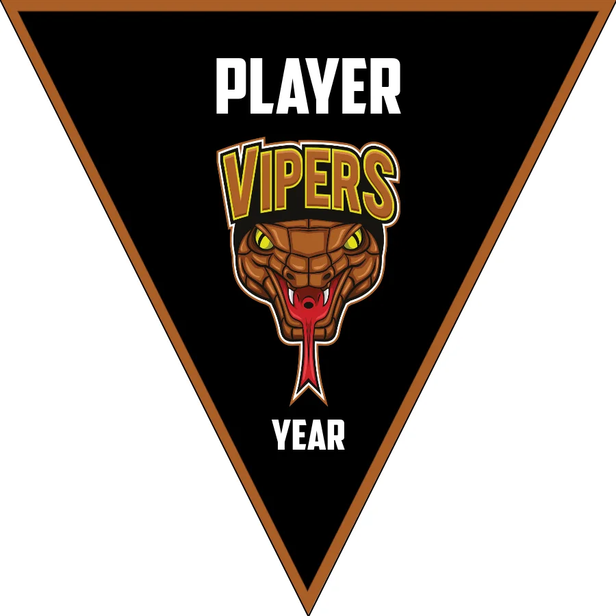 Vipers Soccer Banner, -soccer-banner-picture