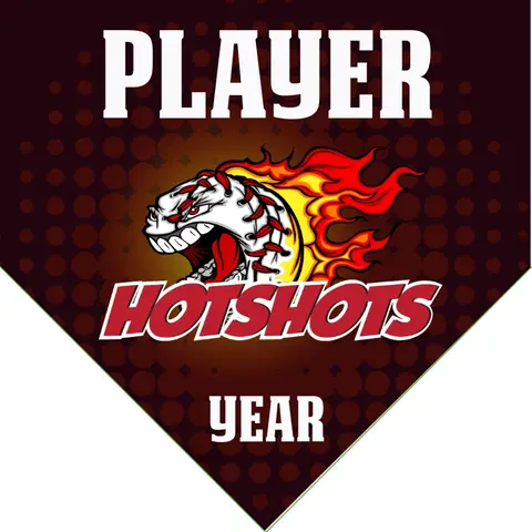 Hotshots Baseball Banner-baseball-senior-banners-images