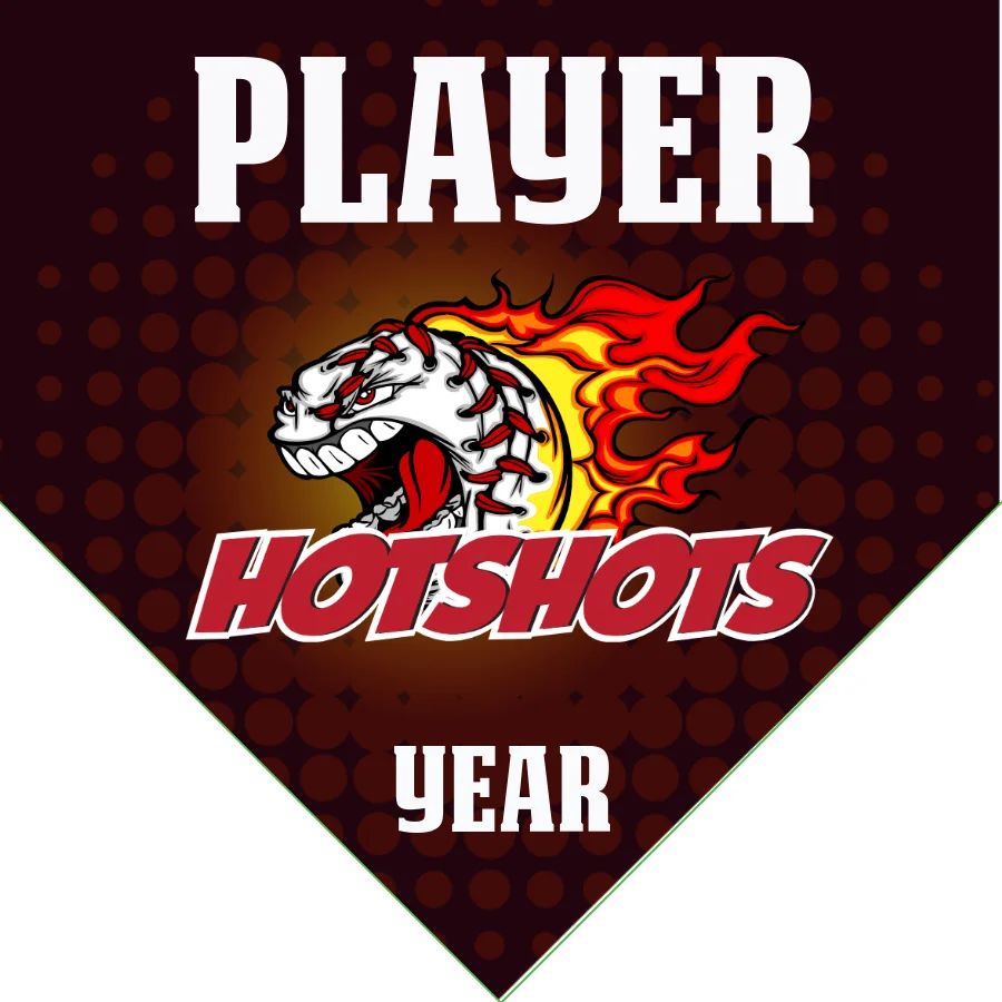 Hotshots Baseball Banner-baseball-senior-banners-images