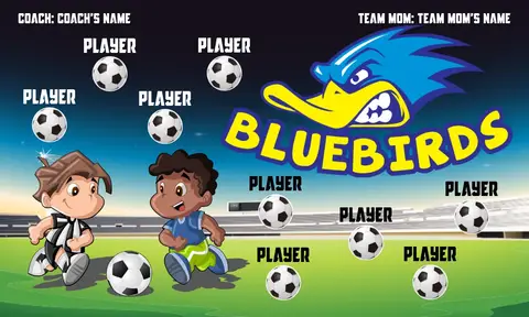 Bluebird Soccer Banner-unique-soccer-banners-picture