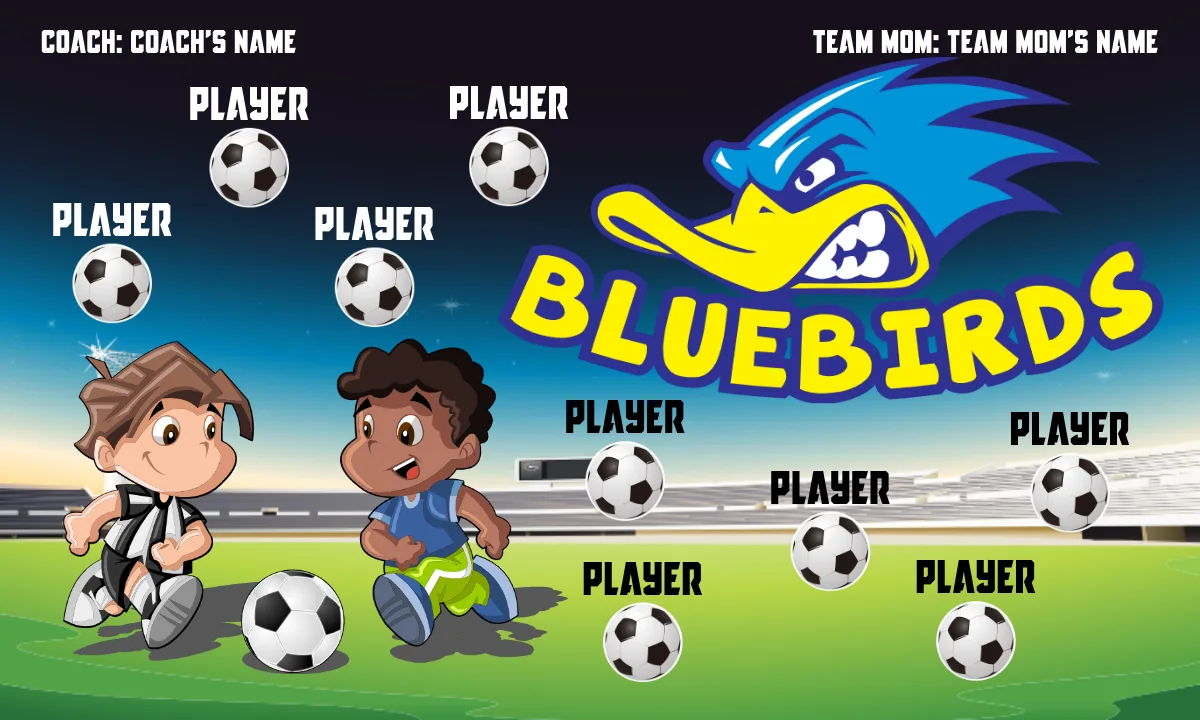 Bluebird Soccer Banner-unique-soccer-banners-picture
