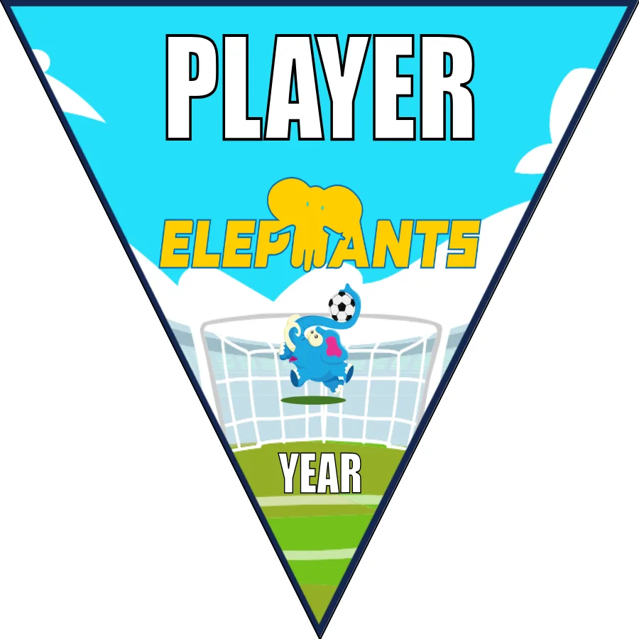Elepmants Soccer Banner-soccer-banners-san-clemente-picture