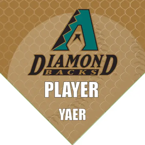 Diamond Black 2 Baseball Banner-baseball-banner-fundraiser-images