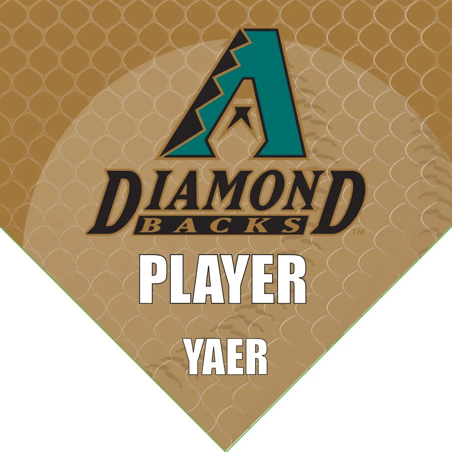 Diamond Black 2 Baseball Banner-baseball-banner-fundraiser-images