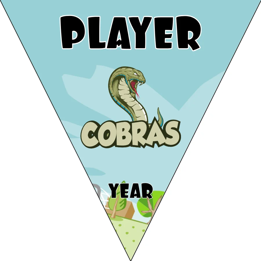 Cobras 2 Soccer Banner-soccer-banners-santa-clarita-picture
