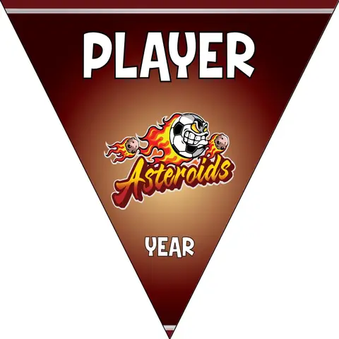 Asteroids Soccer Banner-soccer-banners-chino-ca-picture