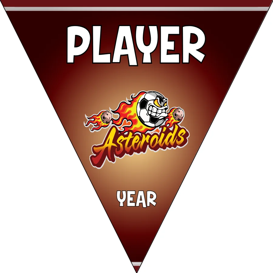 Asteroids Soccer Banner-soccer-banners-chino-ca-picture