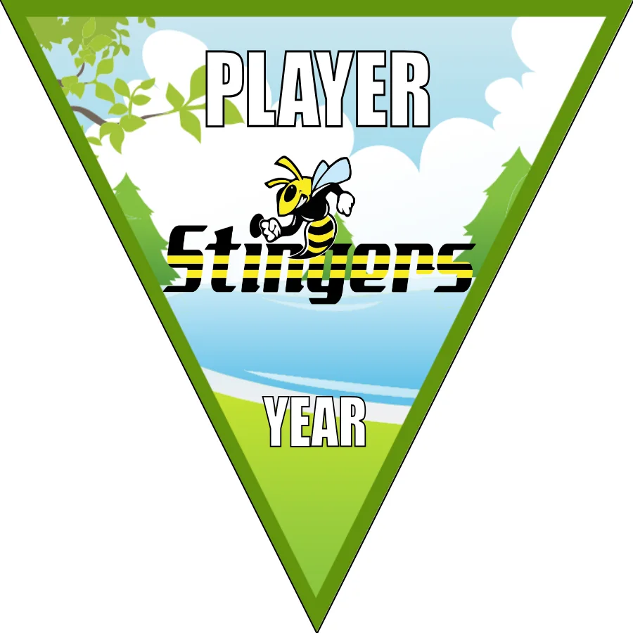 Stingers Soccer Banner-soccer-team-banners-picture