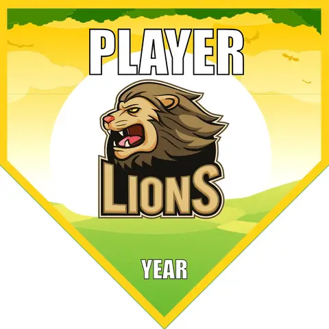 Lions 1 Soccer Banner-soccer-team-banners-picture