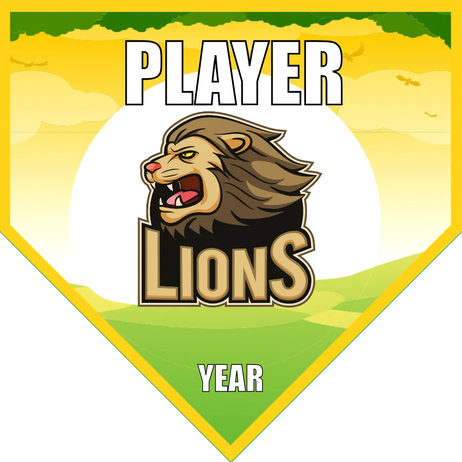 Lions 1 Soccer Banner-soccer-team-banners-picture