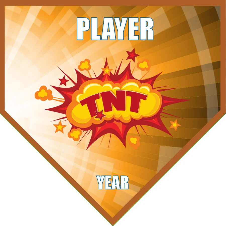TNT Soccer Banner-soccer-banners-for-sale-picture