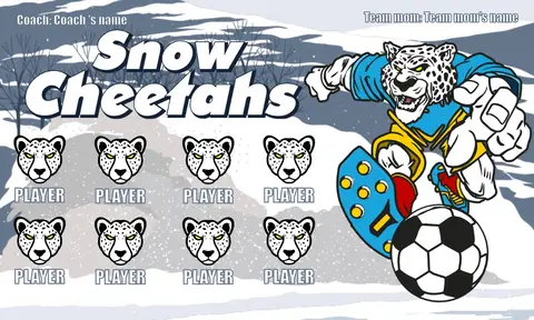 Snow Cheetahs Soccer Banner-soccer-banner-stand-pvc-picture