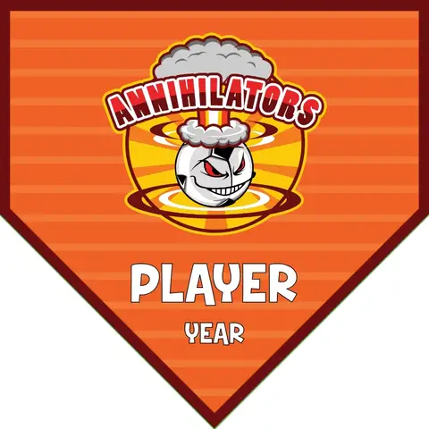 Annihilators 2 Soccer Banner-homemade-soccer-banner-ideas-picture
