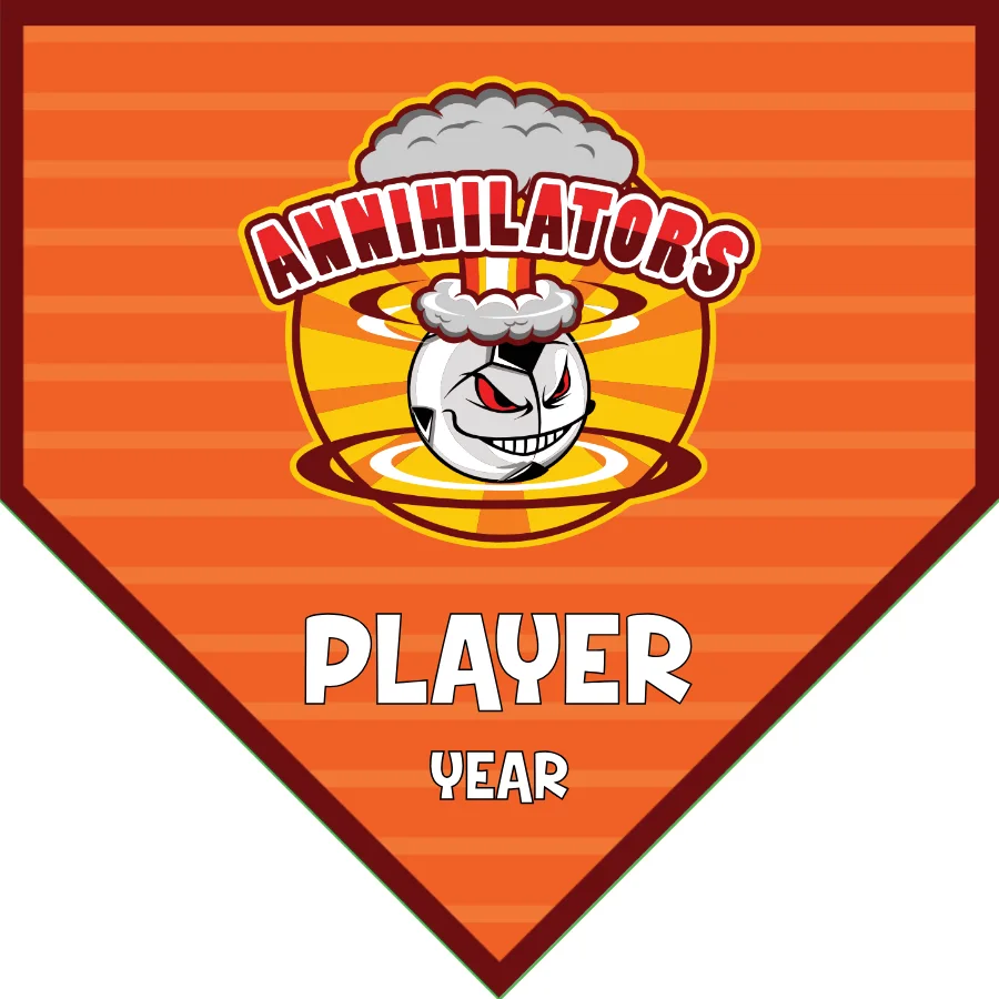 Annihilators 2 Soccer Banner-homemade-soccer-banner-ideas-picture