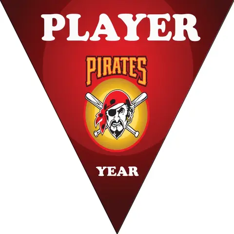 Pirates 4 Baseball Banner-baseball-birthday-banner-ideas-images