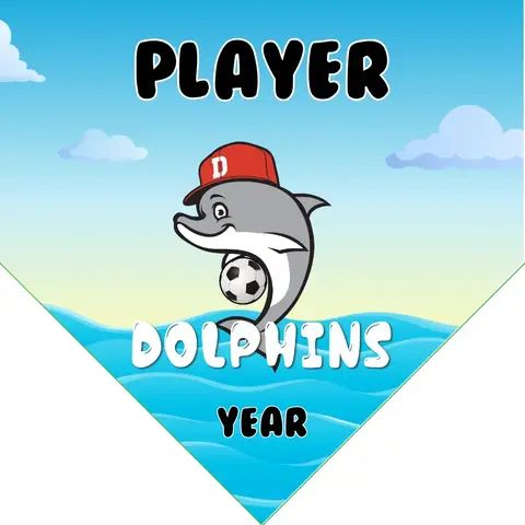 Dolphins 01 Soccer Banner-soccer-themed-banner-picture