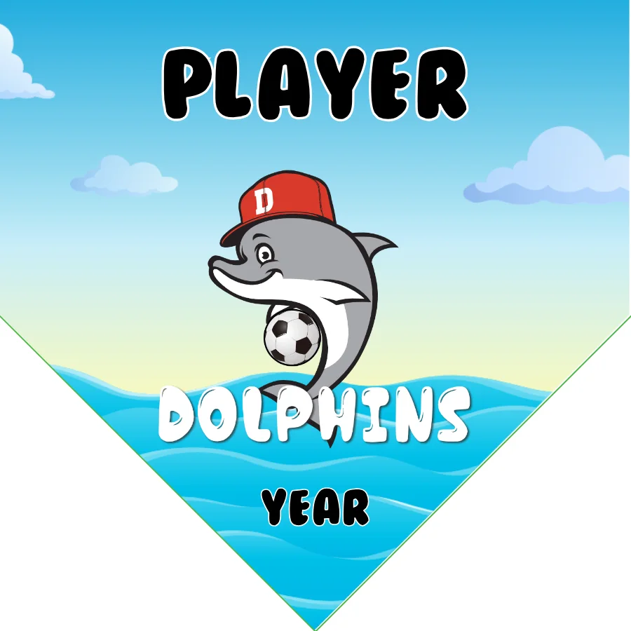 Dolphins 01 Soccer Banner-soccer-themed-banner-picture