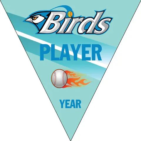 Bird 2 Softball Banner-felt-softball-banners-picture