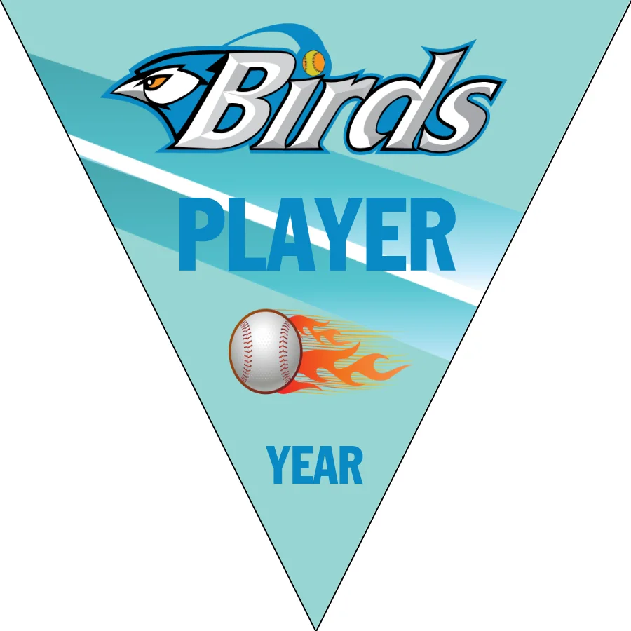 Bird 2 Softball Banner-felt-softball-banners-picture