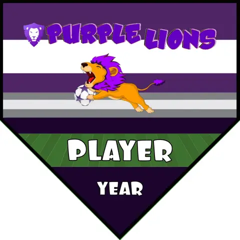 Lion Purple Soccer Banner-homemade-soccer-banner-ideas-picture
