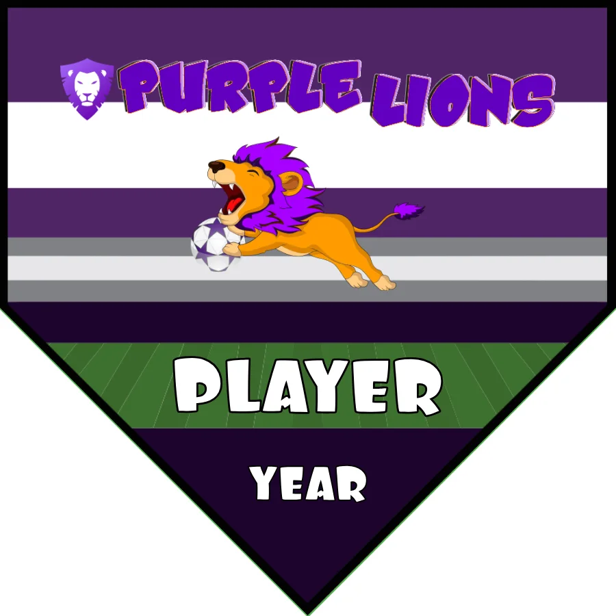 Lion Purple Soccer Banner-homemade-soccer-banner-ideas-picture