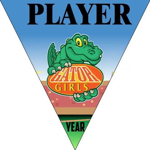 GatorGirls Softball Banner-softball-field-banner-images