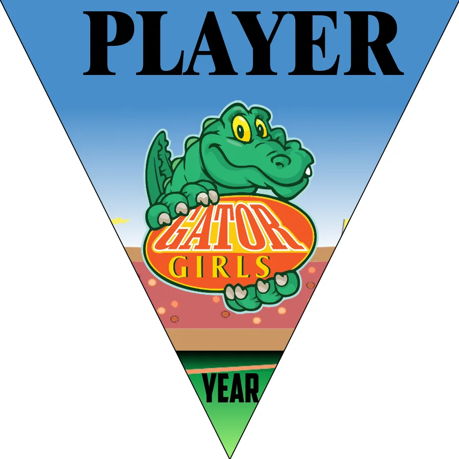 GatorGirls Softball Banner-softball-field-banner-images