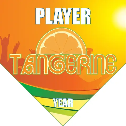Tangerine Soccer Banner-soccer-team-banners-ayso-picture