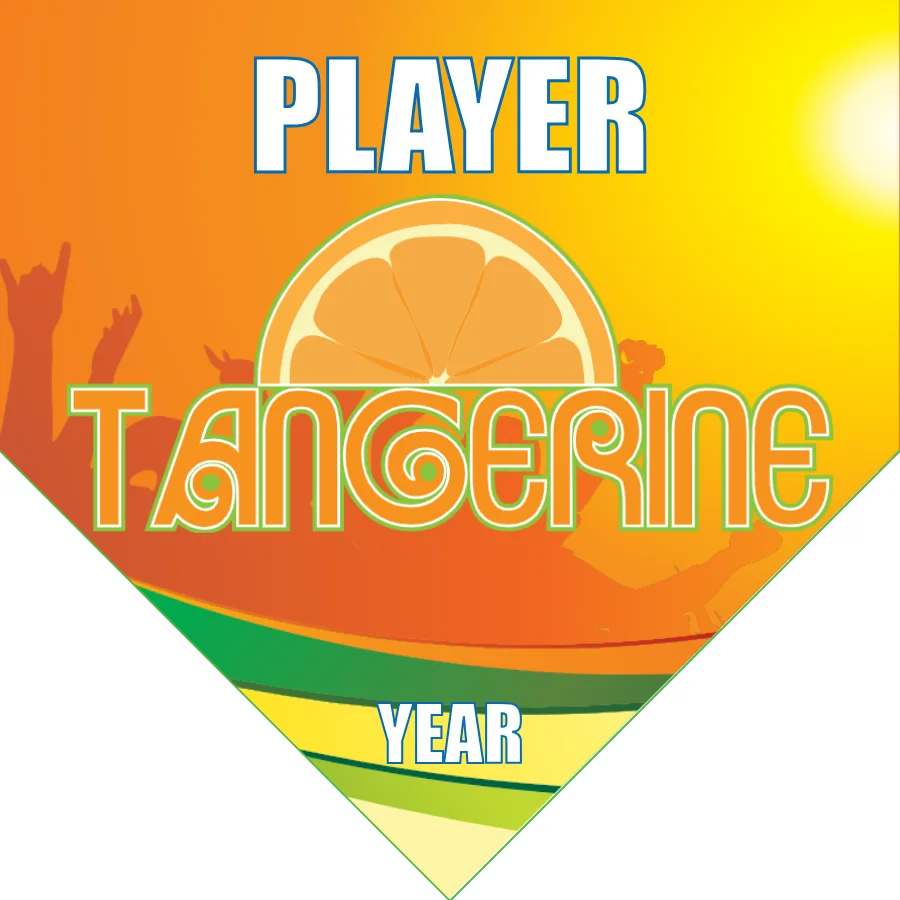 Tangerine Soccer Banner-soccer-team-banners-ayso-picture