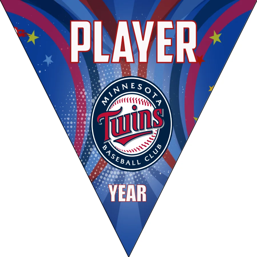 Minnesota 3 Baseball Banner-baseball-banners-san-diego-images