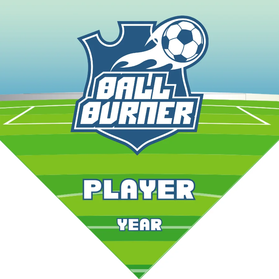 Ball burner Soccer Banner-soccer-banner-and-stand-picture
